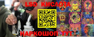 эйфоретик Новодвинск