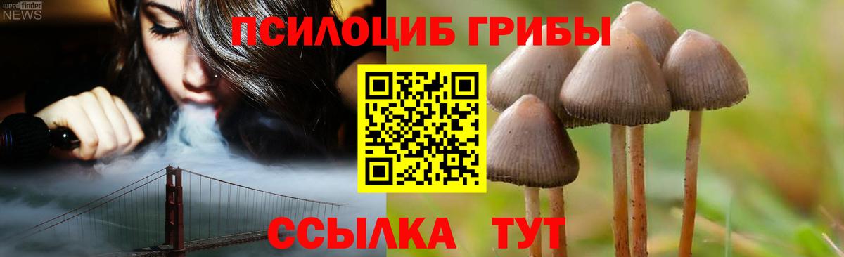 Галлюциногенные грибы прущие грибы  продажа наркотиков  Вход с VPN  Удомля  Псилоцибиновые грибы ЛСД 